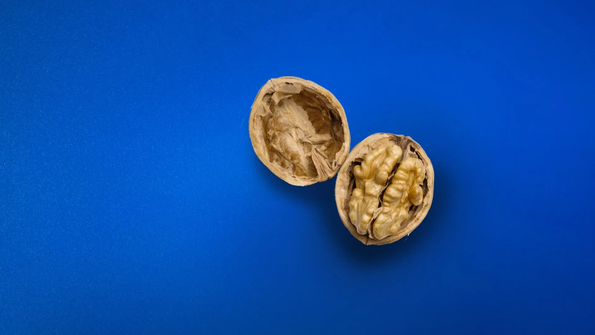 A walnut suspended over a deep blue background