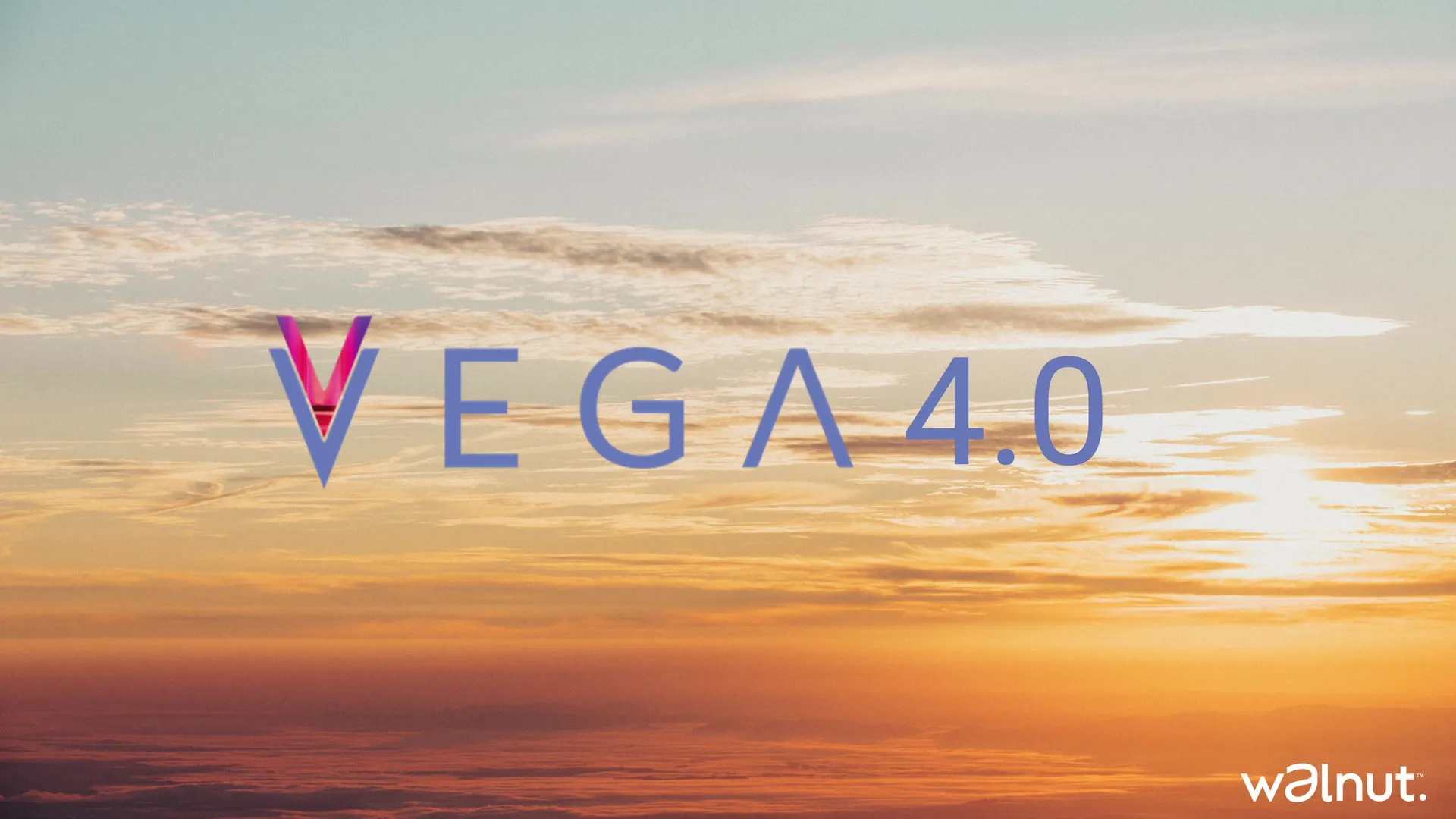 Vega 4.0 product introduction